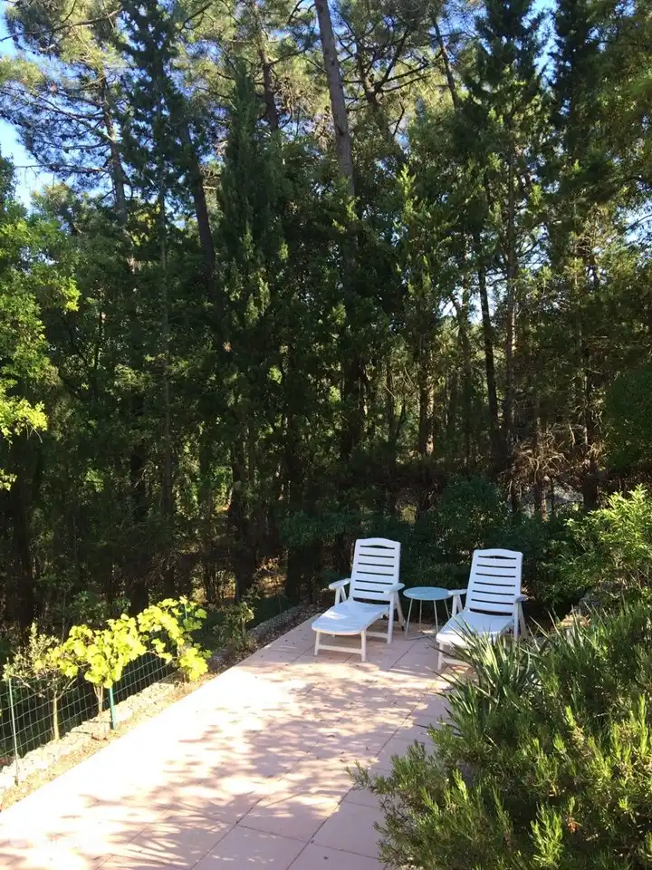 Ruhen Sie sich im Schatten aus.