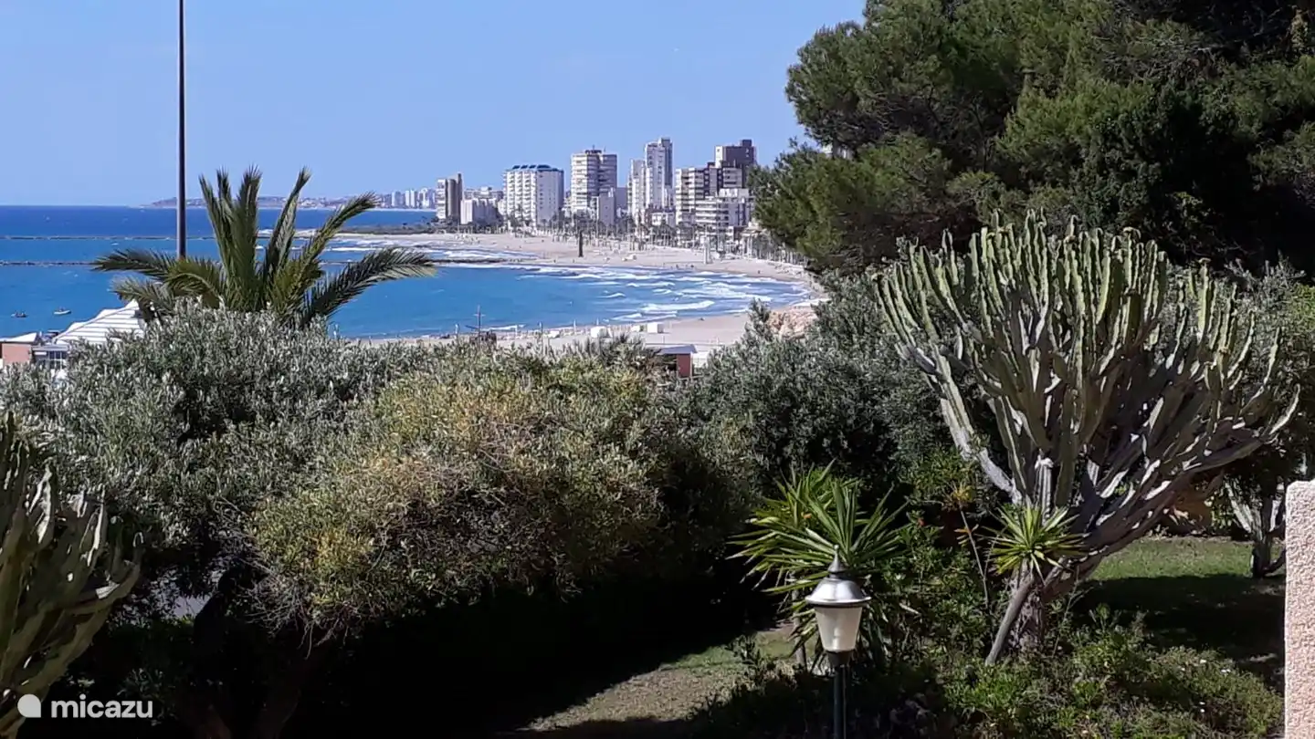 Het prachtige uitzicht vanaf het terras over de tuin richting Alicante