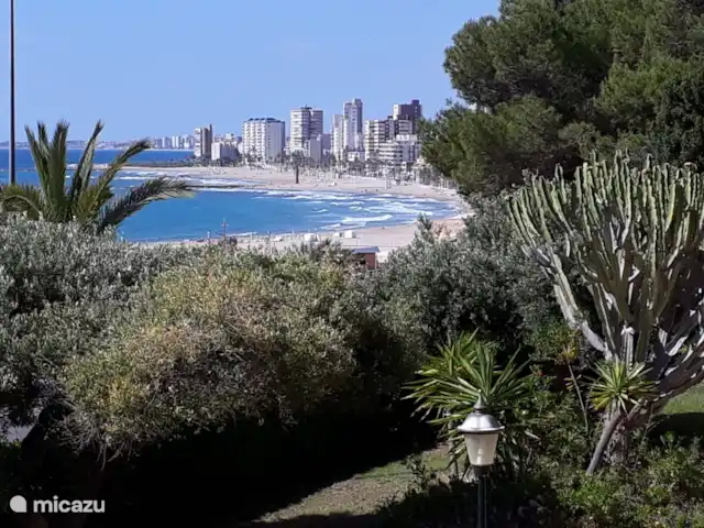 Brisa Marina | Espagne, Costa Blanca, El Campello - appartement La belle vue de la terrasse sur le jardin vers Alicante