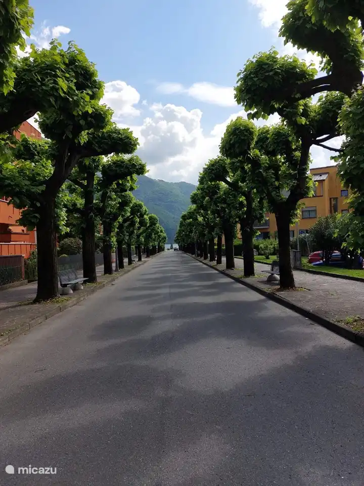 Aussicht Vom Dorf Porlezza zum See. Jeden Samstag findet auf dieser Allee ein großer Markt statt