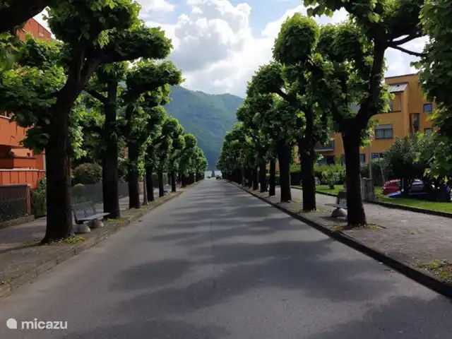 Location de Vacances Italie, Lacs italiens , Porlezza, appartement - Porto Letizia Bégonia 3 Voir à travers
Du village de Porlezza au lac
Vaste marché sur cette avenue tous les samedis