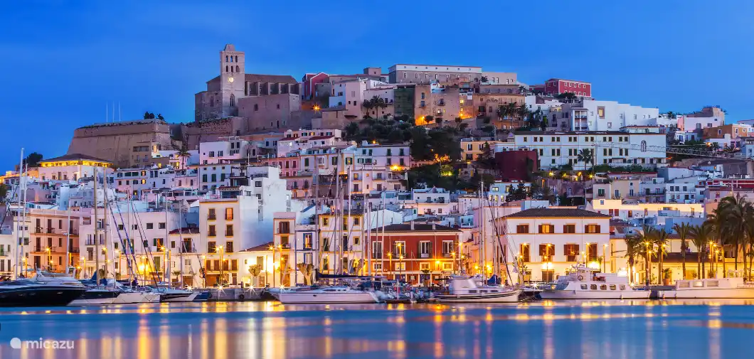Visit: Ibiza (old) town and port 