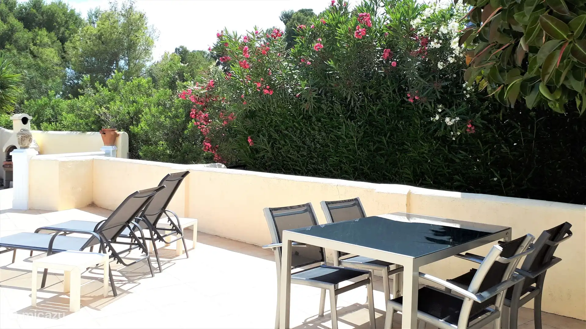 Il y a beaucoup de verdure dans le jardin