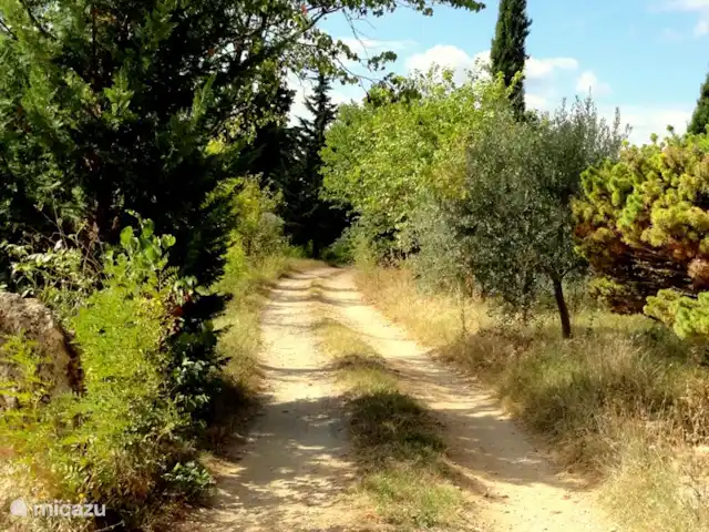 Marlin en masa en Francia, Var, Cotignac - casa vacacional sendero para caminar en la parte trasera de la casa