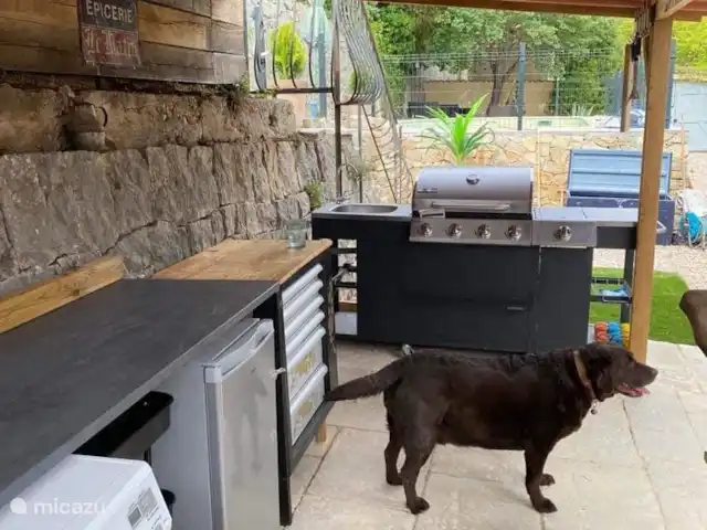 Marlin en masa en Francia, Var, Cotignac - casa vacacional Cocina exterior, Blossom el perro no incluido ??