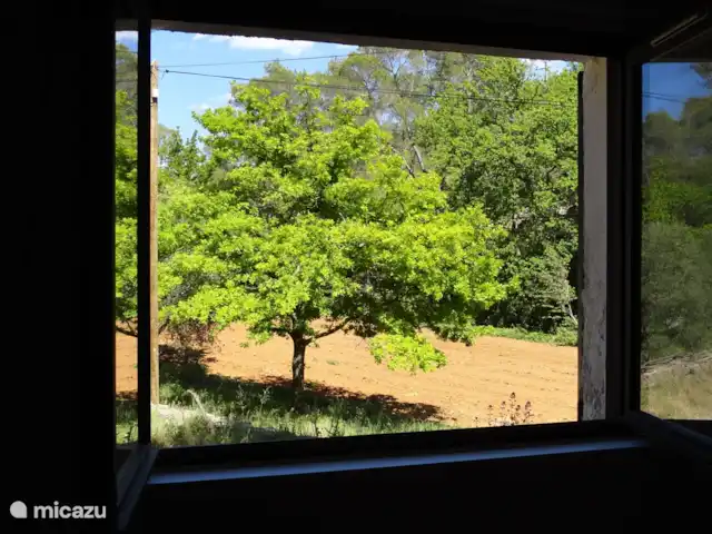 Marlin en masa en Francia, Var, Cotignac - casa vacacional vista desde el dormitorio