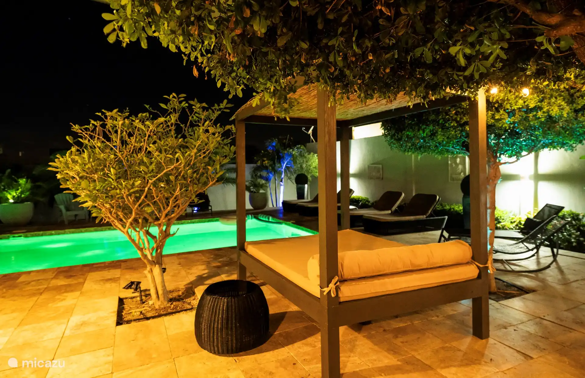 Noche en el jardín tropical