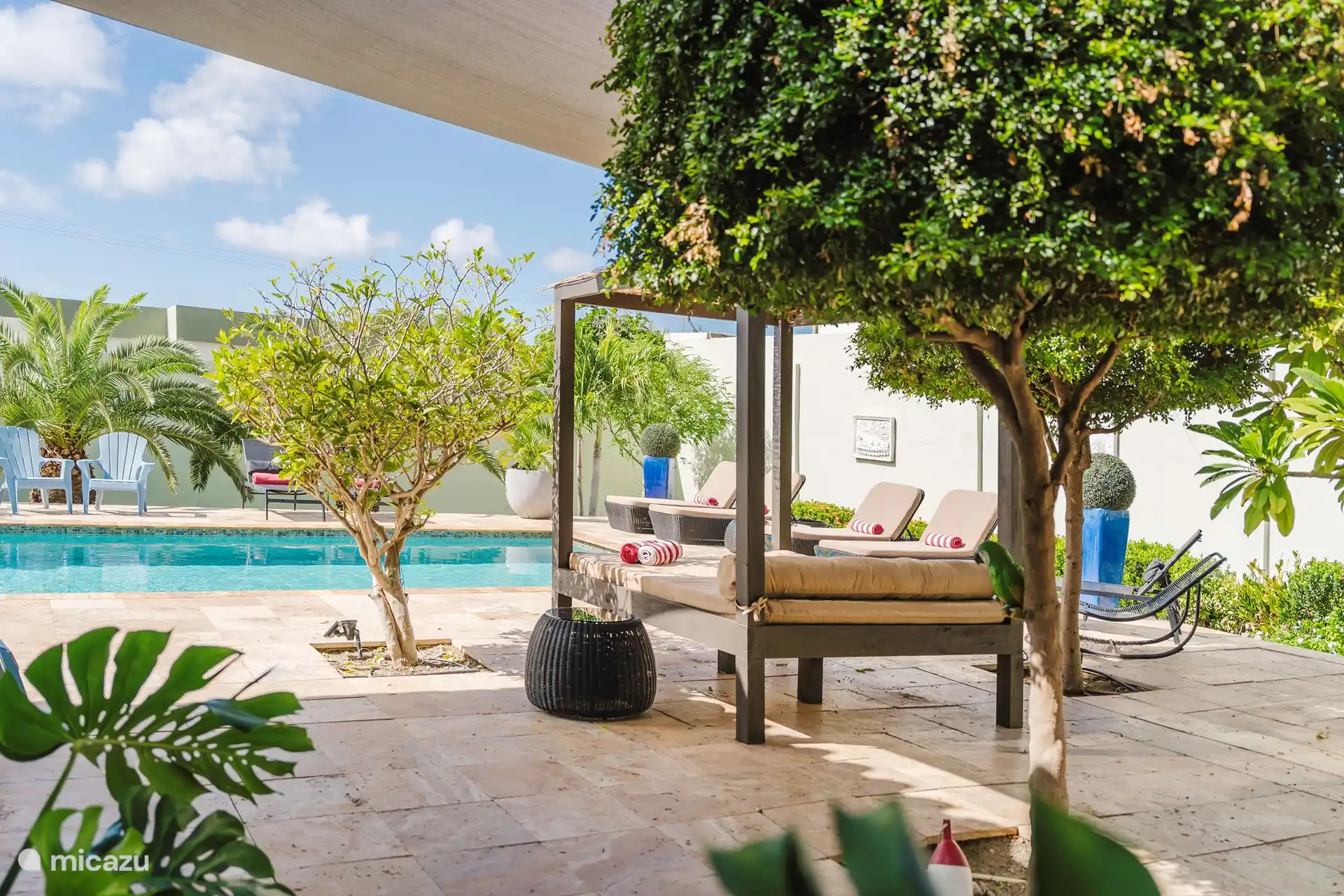 Jardín troico con sombra y sol