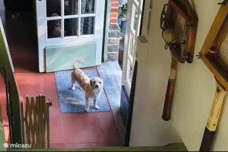 Ferienwohnung Belgien, Ardennen, Rendeux ferienhaus La Raquette