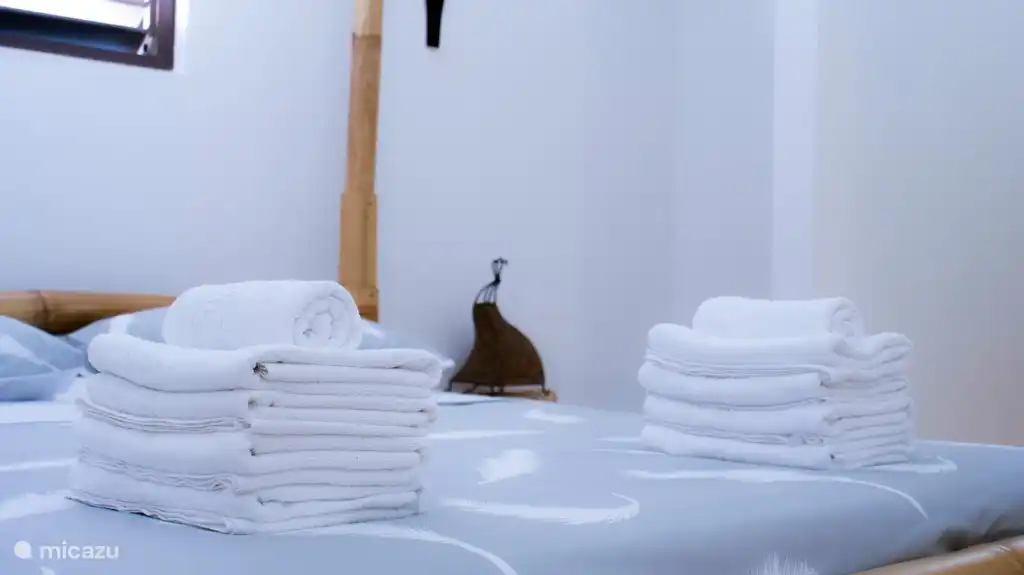 Le linge de lit, de bain et de cuisine est inclus dans le loyer.
A votre arrivée, les lits sont faits pour vous et les serviettes sont prêtes.