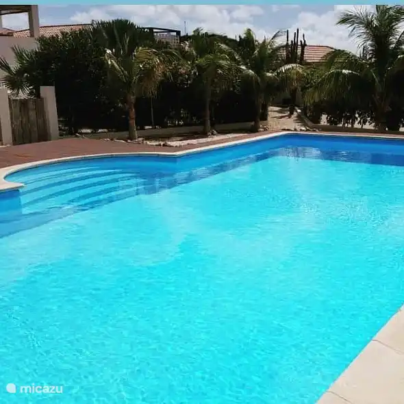 La piscine de pas moins de 50 m2, où vous pourrez vous rafraîchir dès votre arrivée.