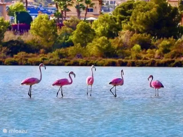 Casa Vérel | Espagne, Costa Blanca, Calpe - villa Las Salinas