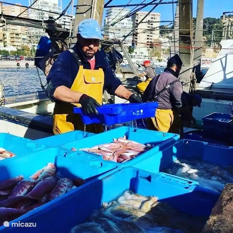 Port de pêche de Calpe