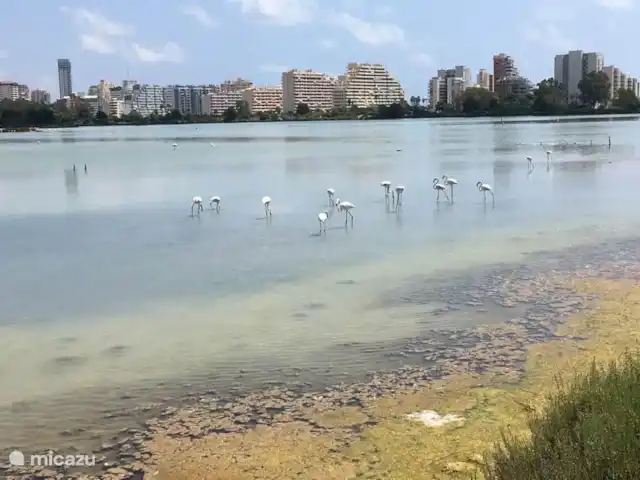 Casa Vérel | Espagne, Costa Blanca, Calpe - villa Las Salinas