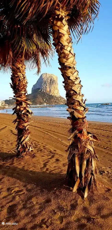 Playa del Arenal-Bol