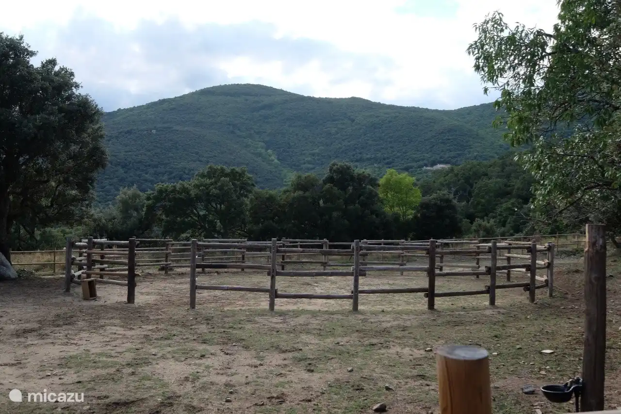 Picadero of the horses at the back