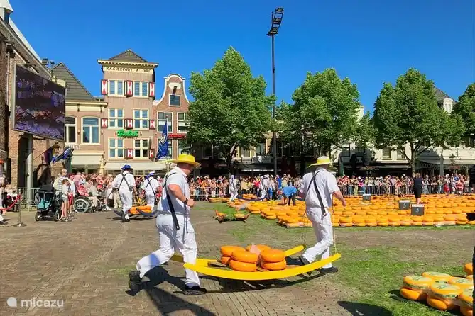 Marché aux fromages d'Alkmaar, tous les vendredis