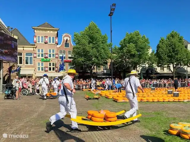 Location de Vacances Pays-Bas, Hollande du Nord, Alkmaar, villa - salon plage maison Marché aux fromages d'Alkmaar, tous les vendredis
