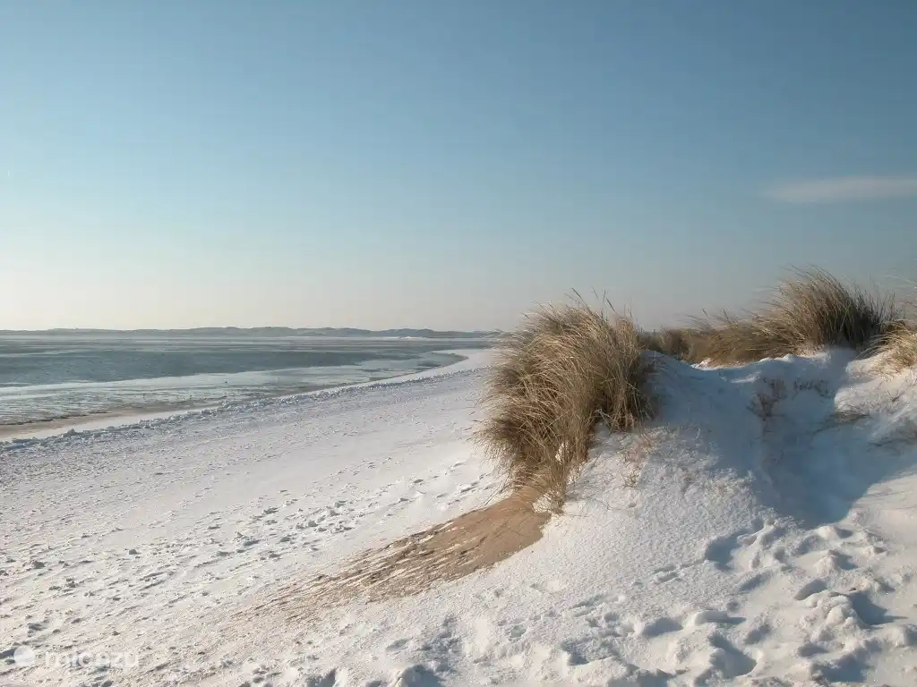 Bergen aan Zee (700 mètres au nord)