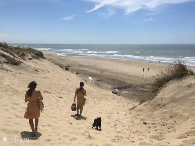 Location de Vacances Pays-Bas, Hollande du Nord, Alkmaar, villa - salon plage maison Bergen aan Zee (150 mètres au sud)