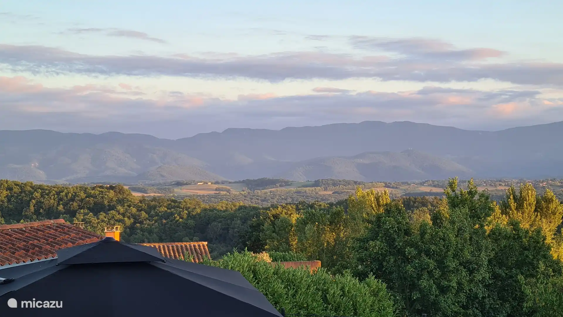 Blick in die Abendsonne