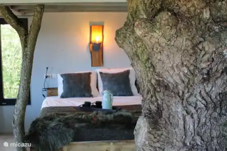 Vakantiehuis Frankrijk, Allier – blokhut / lodge Boomhuis Ransuil