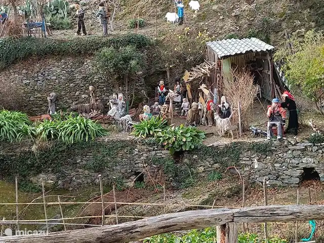 Maison de campagne italienne familiale | Italie, Ligurie, Arnasco - villa Sur la route d’Arnasco à Menosio, une belle performance