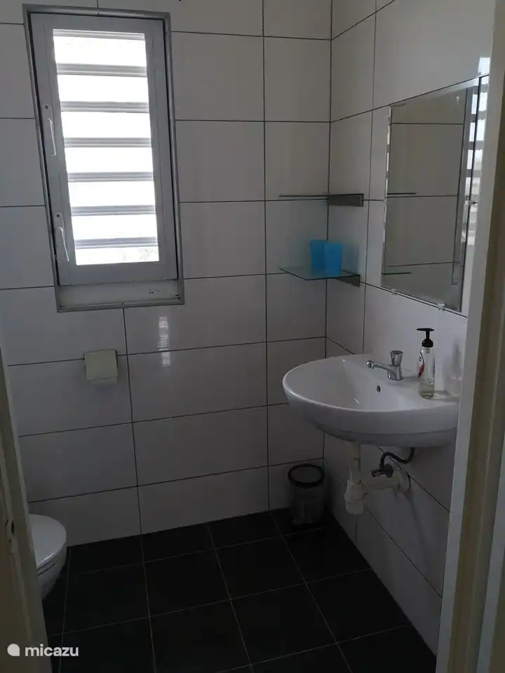 salle de bains invité