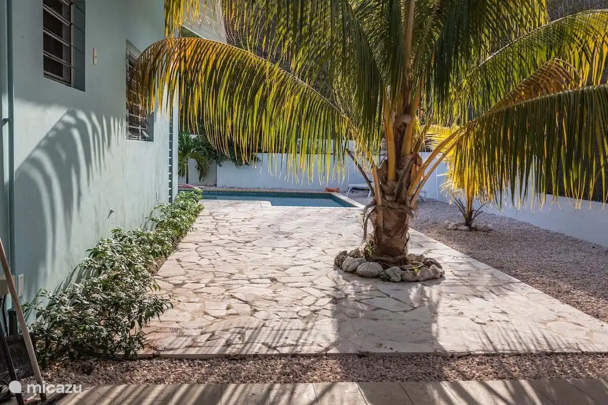 Terrasse de la piscine