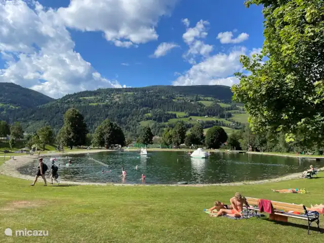 Chalet schönes Herz in Austria, Styria, Stadl an der Mur - chalet