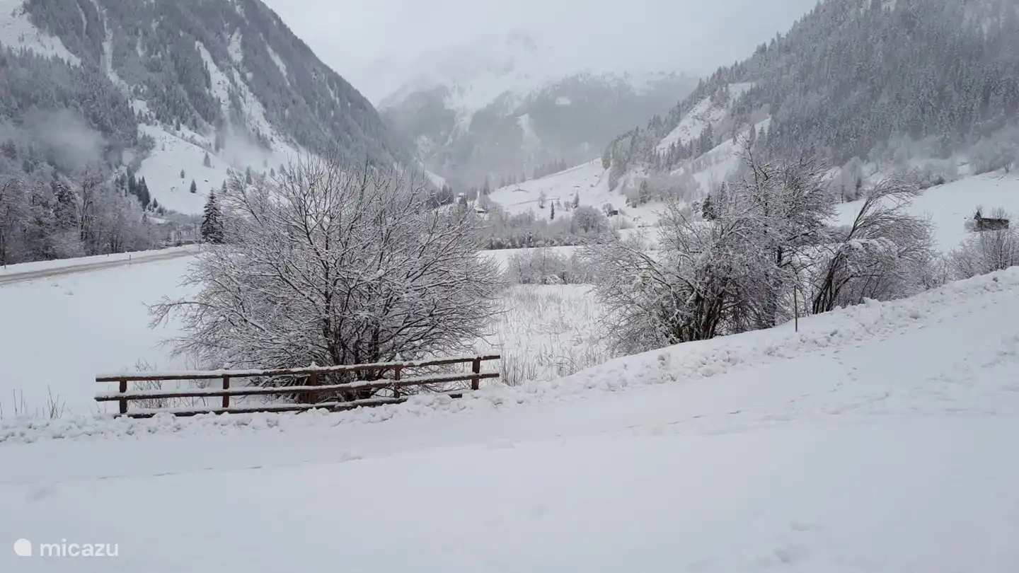 Ver después de la nieve fresca