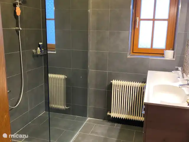Location de Vacances Autriche, Salzburgerland, Grossarl, maison de vacances - Maison Hugel Salle de bain au rez-de-chaussée, avec douche