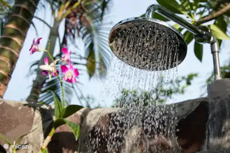 Vakantiehuis Indonesië, Bali, Dencarik villa Villa Paradise Lovina