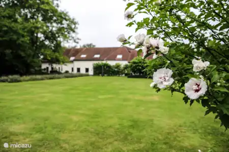 Vacation rental Belgium, Limburg, Hasselt holiday house Den Hooyzolder