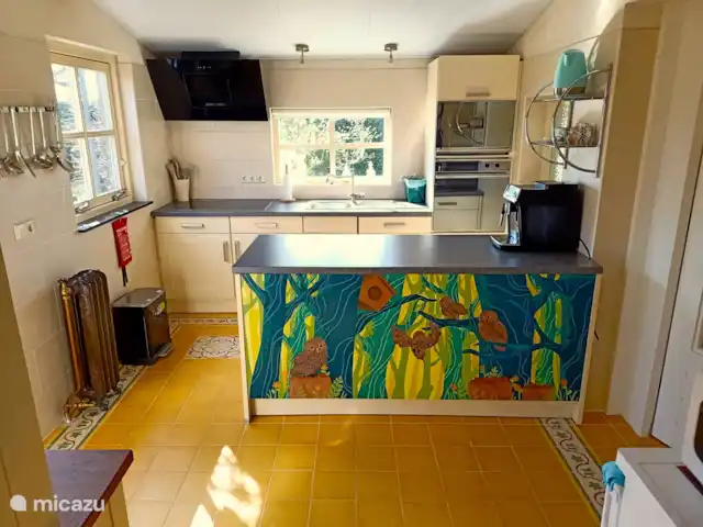 casa vacacional en Países Bajos, Barbante Septentrional, Kaatsheuvel – El mochuelo de Ketse Nuestra hija ha pintado bellamente la unidad de cocina con los búhos como tema.