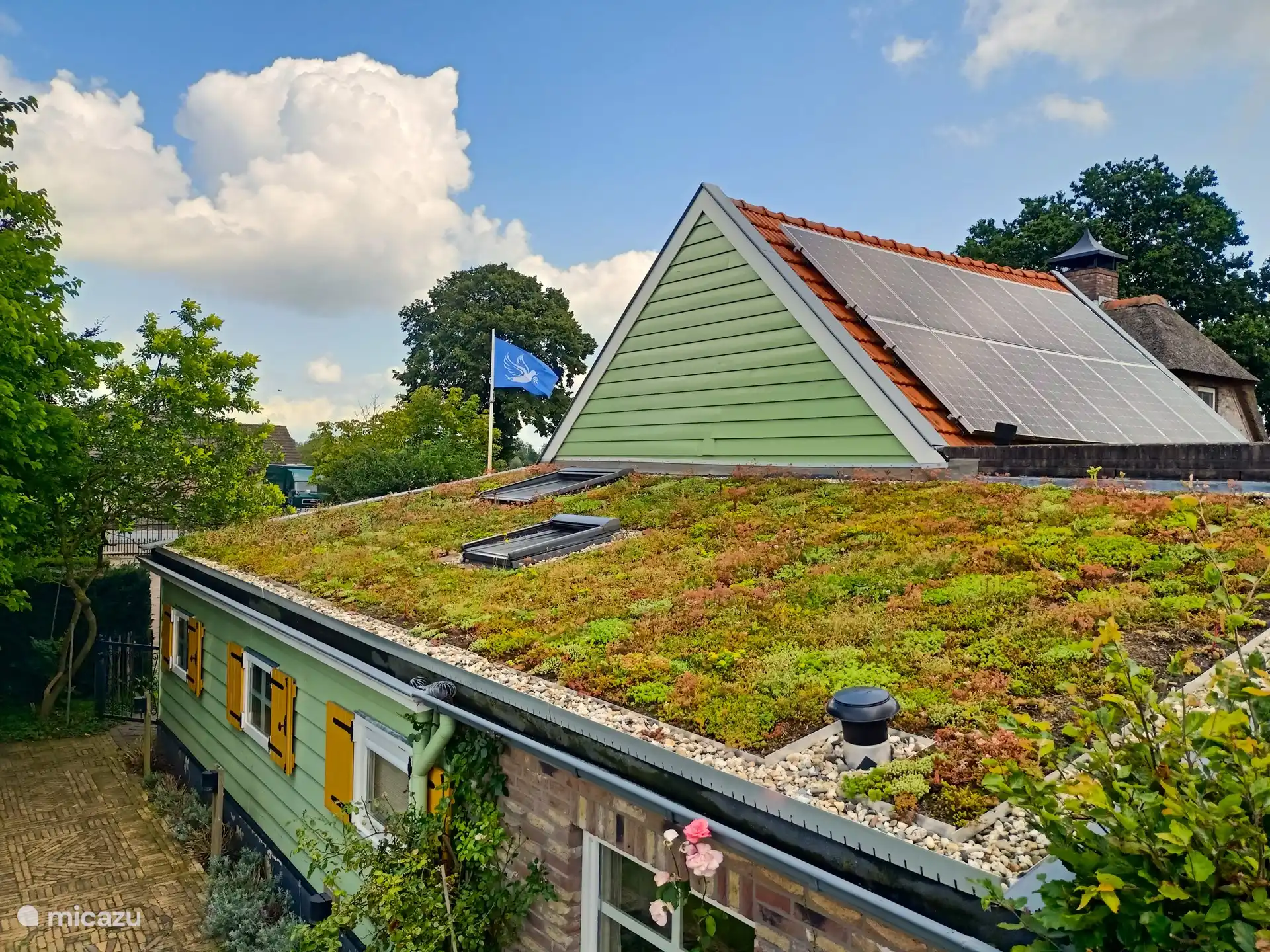 Um die Artenvielfalt zu erhöhen und hoffentlich auch mehr Insekten die Bestäubung der Obstplantage zu ermöglichen, haben wir 50 m2 Gründach aus Sedummatten installiert. Die vielen hinzugefügten Steinpflanzen sorgen für einen schönen Blüheffekt.