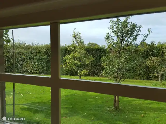 casa vacacional en Países Bajos, Barbante Septentrional, Kaatsheuvel – El mochuelo de Ketse Un jardín adicional está disponible para usted ....... el huerto con diferentes tipos de árboles frutales.
