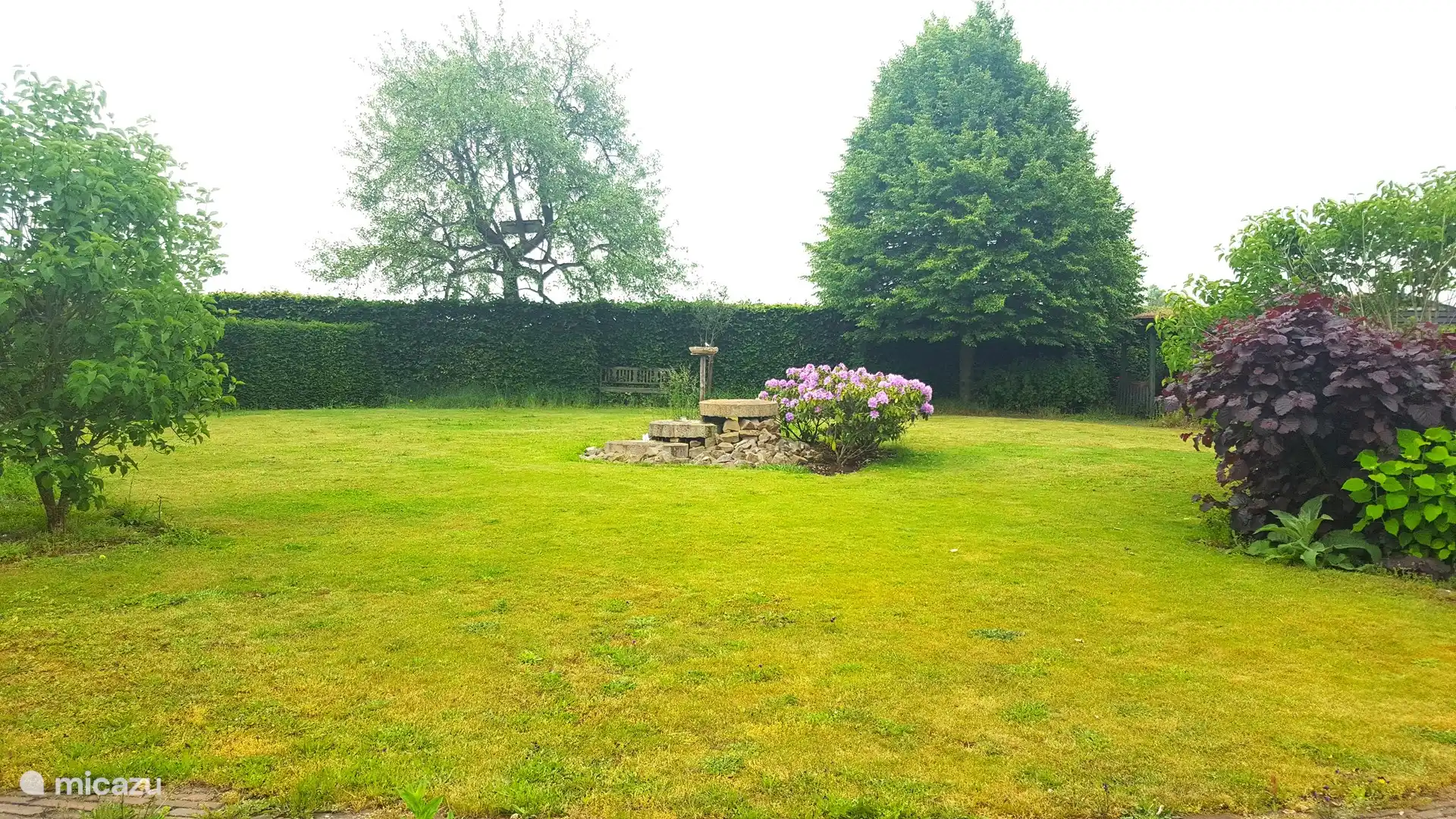 Ein sehr geräumiger Garten von 500 m2 mit altem Baumbestand ist das, was Sie sehen. Im Hintergrund befindet sich der alte Birnbaum mit dem Eulenkasten.