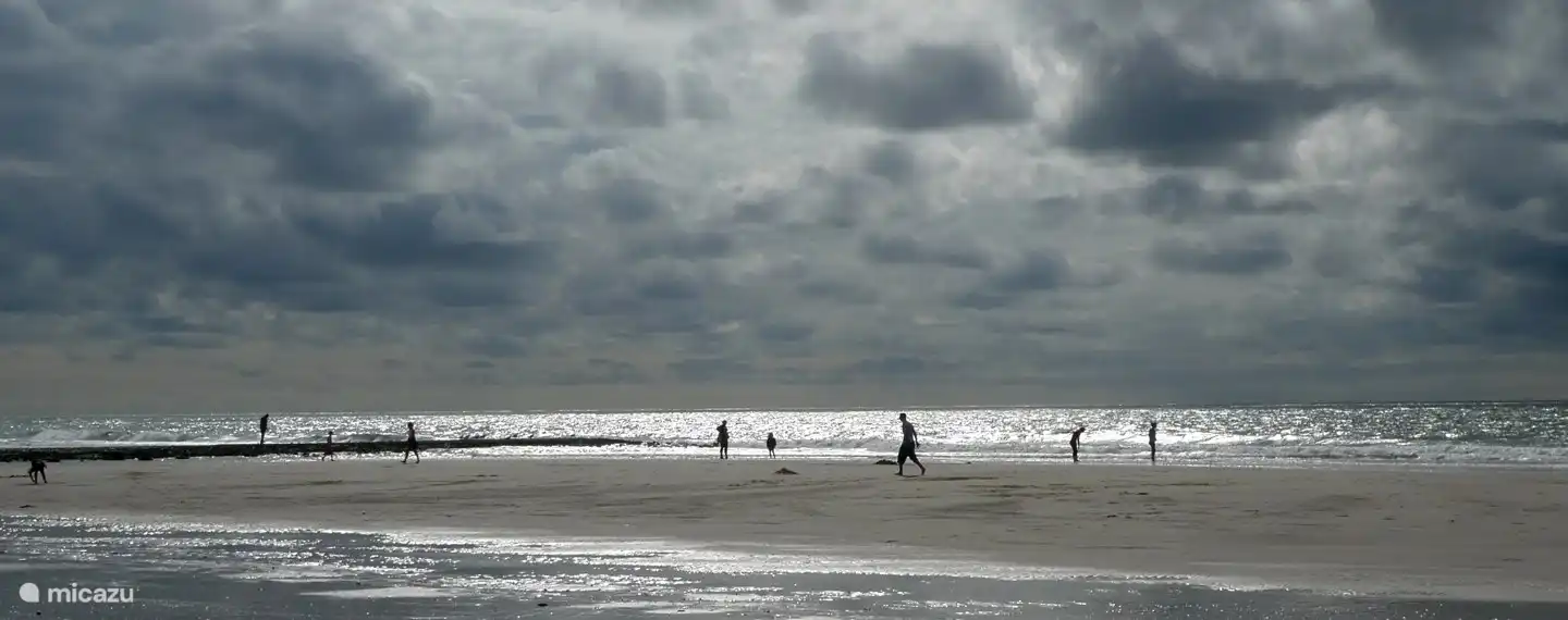 Plage callantsoog