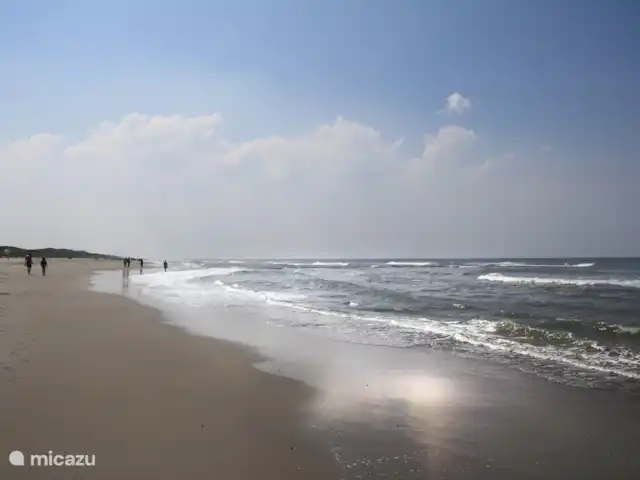 Vie à la plage 9 | Pays-Bas, Hollande du Nord, Callantsoog - maison de vacances Plage de Callantsoog