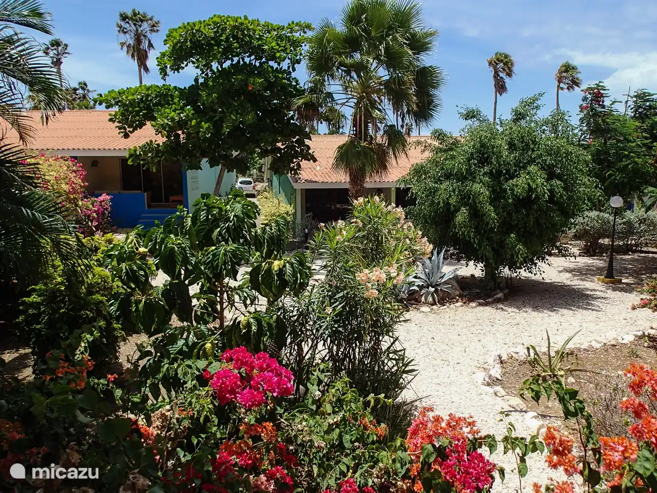Vue sur le jardin depuis la terrasse.