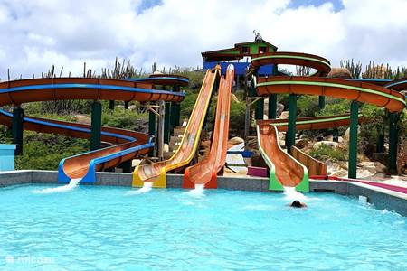 Parc de vacances d'Aruba : parc aquatique à Hooiberg