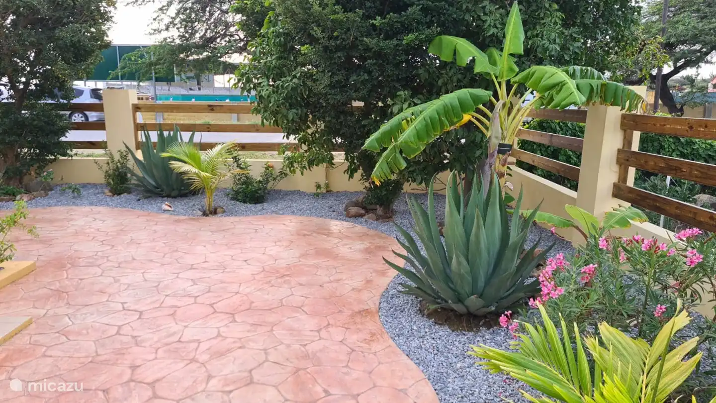 Coin salon à l'arbre Kenepa.