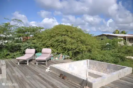 Vakantiehuis Bonaire, Bonaire, Belnem villa Cas Akuario terras