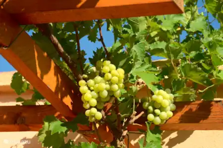 Vacation rental France, Vaucluse, Saumane-de-Vaucluse villa Villa Vaucluse