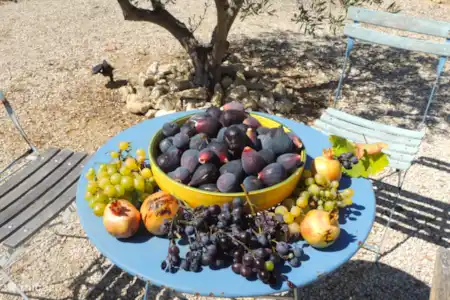 Vacation rental France, Vaucluse, Saumane-de-Vaucluse villa Villa Vaucluse