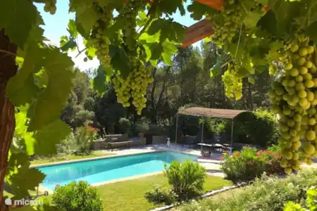 Vacation rental France, Vaucluse, Saumane-de-Vaucluse villa Villa Vaucluse