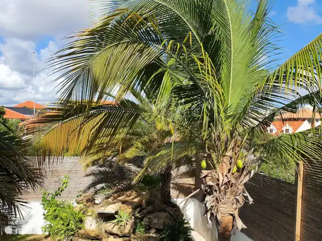 Appartement A1 JAN THIEL TOUT COMPRIS !! | Curaçao, Banda Ariba (est), Jan Thiel - appartement Piscine générale