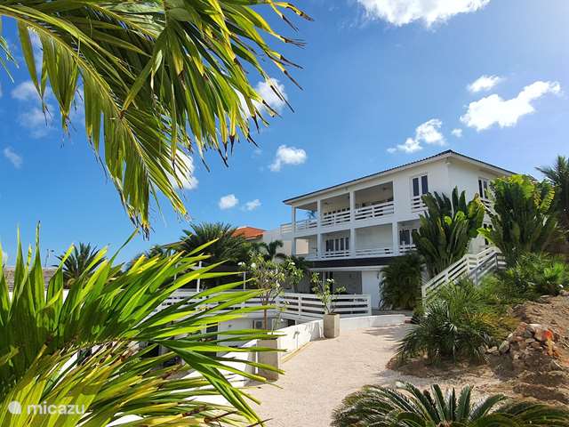 Vakantiehuis Curaçao, Banda Ariba (oost), Jan Thiel - penthouse Penthouse met echt prive zwembad