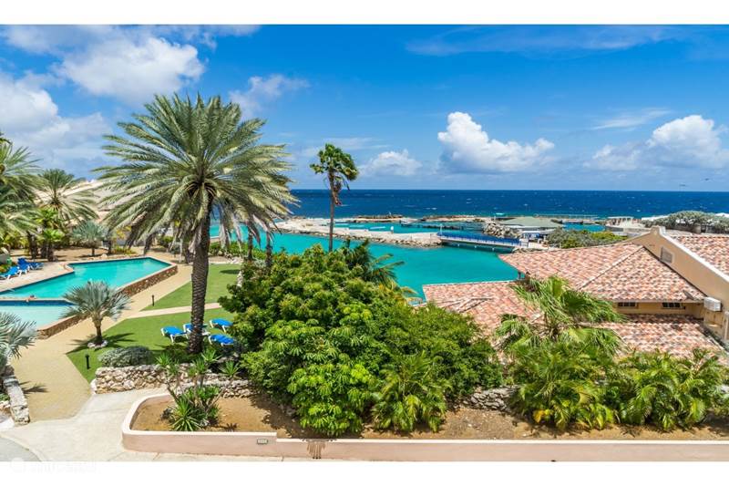 Vakantiehuis Curaçao, Curacao-Midden, Willemstad Appartement Dolphins Corner Curacao Ocean Resort